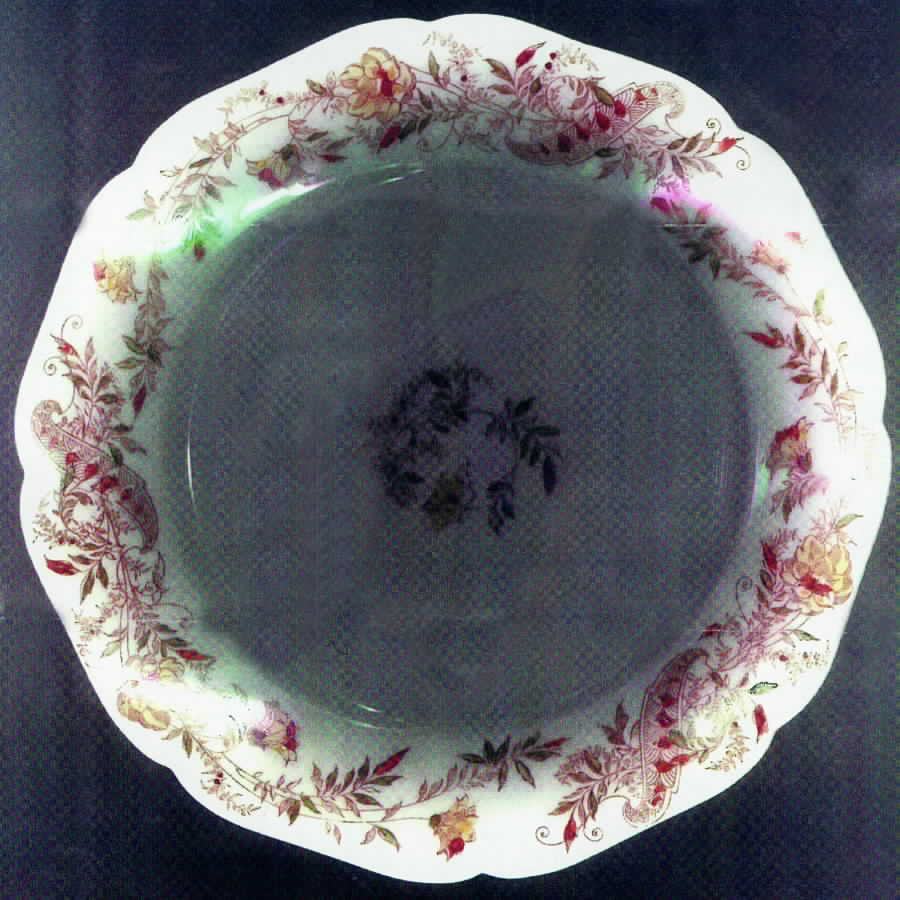 Schleiger 486h Dinner Plate by Haviland-1