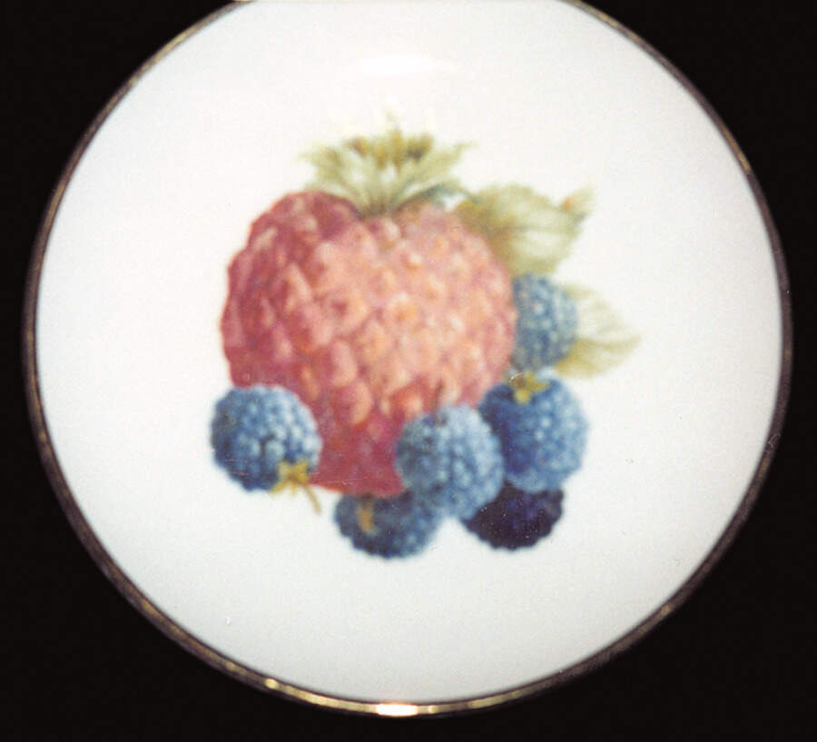 HUT865 Salad Plate by Hutschenreuther-1