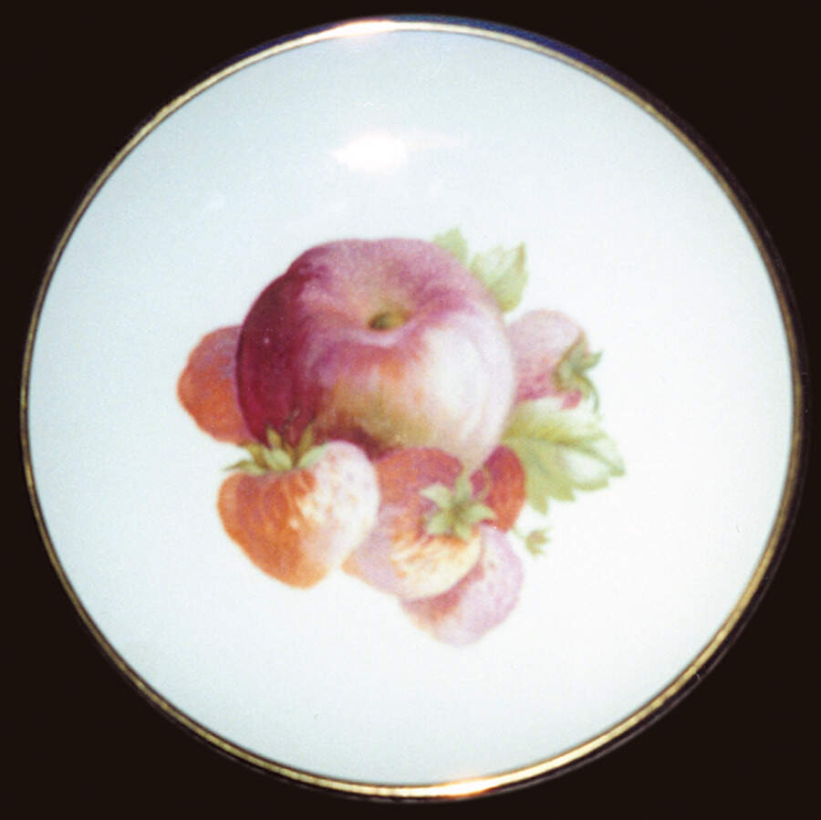 HUT865 Salad Plate by Hutschenreuther-1