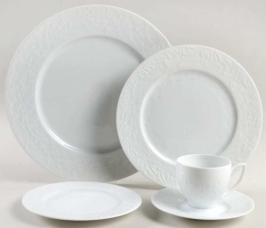 Provence Blanc 5 Piece Place Setting by Haviland-1