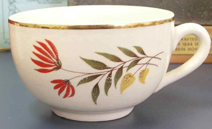 MTC153 Flat Cup by Mount Clemens-1