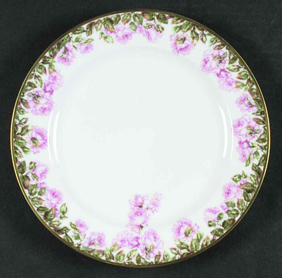 Schleiger 496a Dinner Plate by Haviland-1