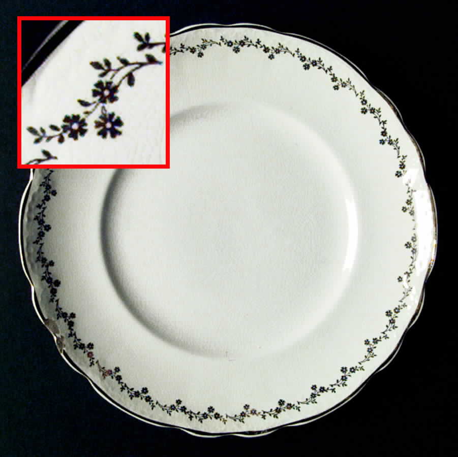 H4101 Dinner Plate by Homer Laughlin -1