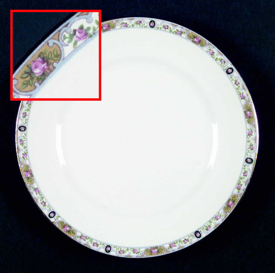 K8317 Dinner Plate by Homer Laughlin -1