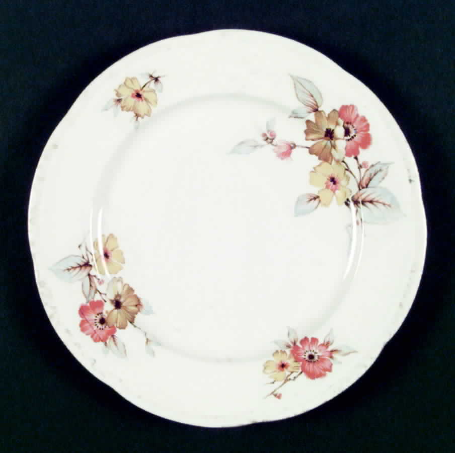 9739a Dinner Plate by Homer Laughlin -1