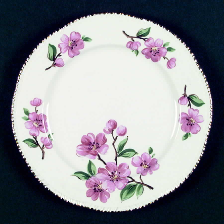 W246 Dinner Plate by Homer Laughlin -1