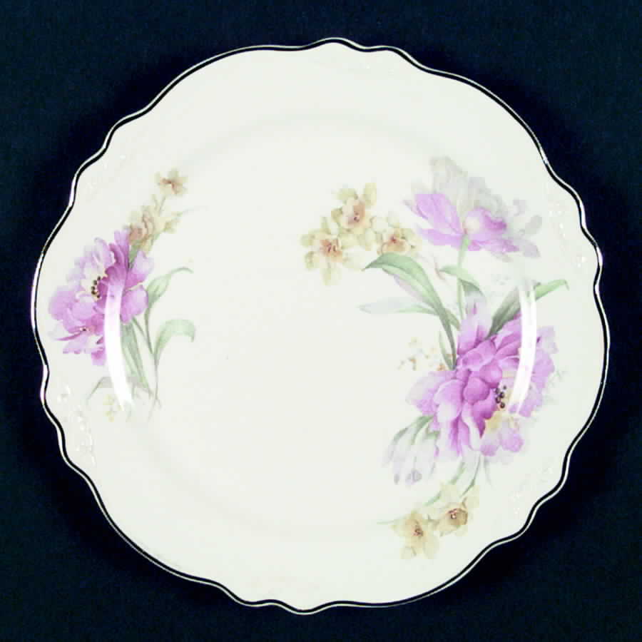 VR155 Dinner Plate by Homer Laughlin -1