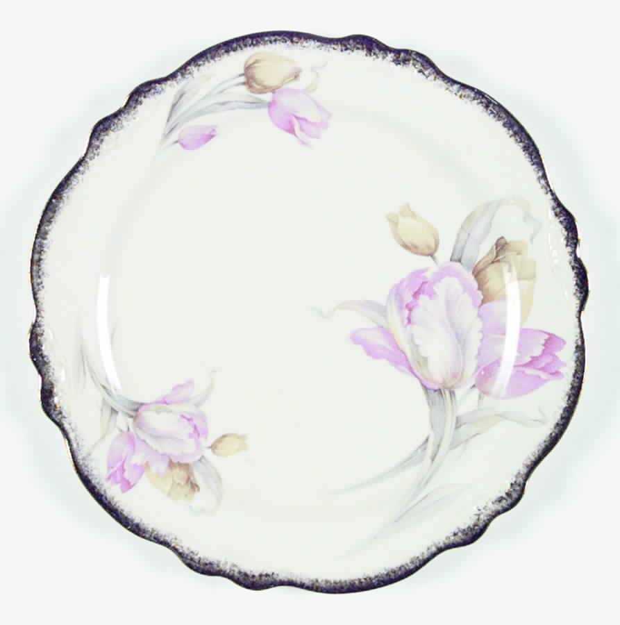 VR151 Dinner Plate by Homer Laughlin -1