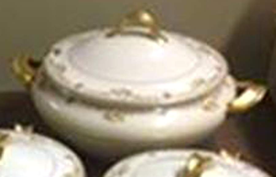 Schleiger 534C Tureen &  Lid by Haviland-1