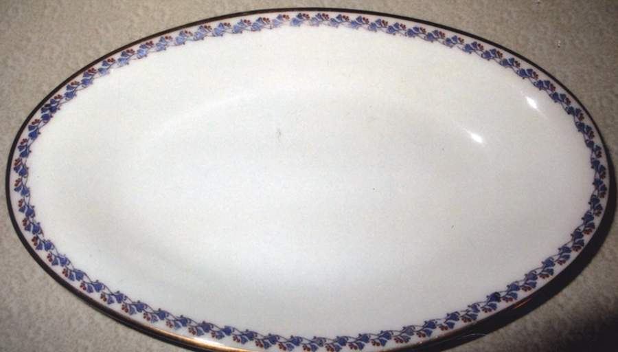 Schleiger 569a 14" Oval Serving Platter by Haviland-1