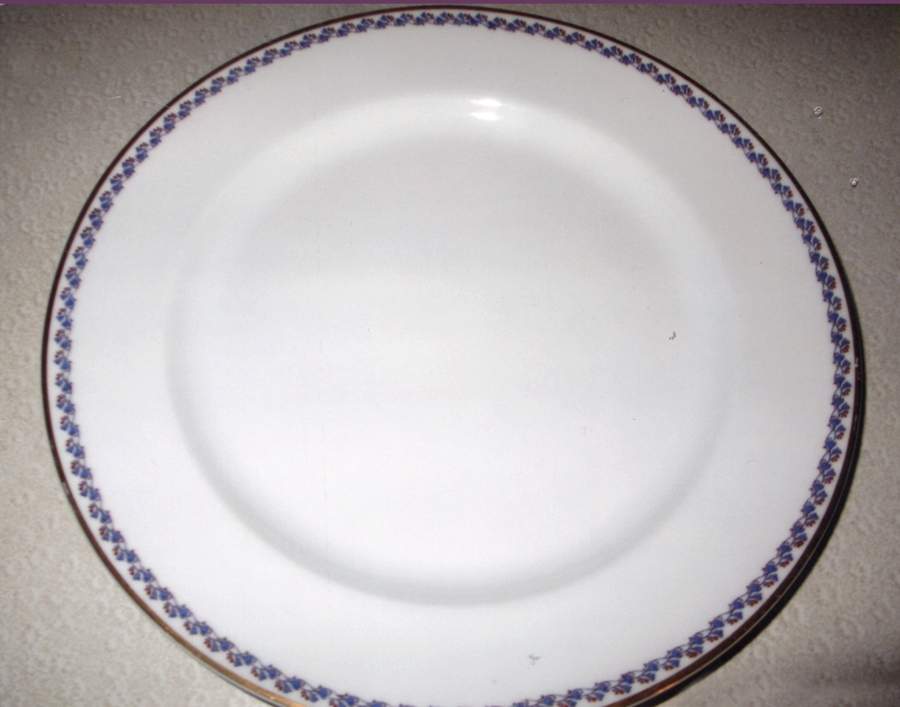 Schleiger 569a Dinner Plate by Haviland-1