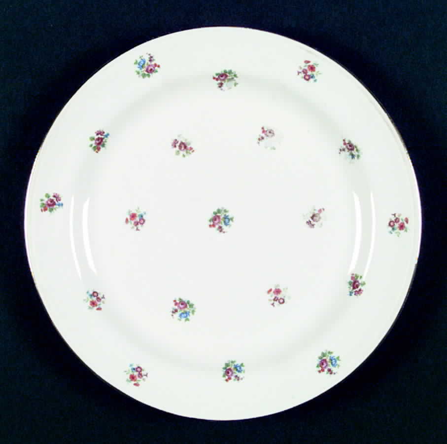 N1489 Dinner Plate by Homer Laughlin -1