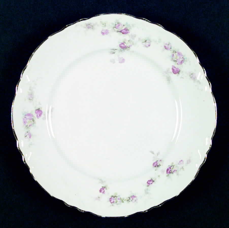 R5904 Dinner Plate by Homer Laughlin -1