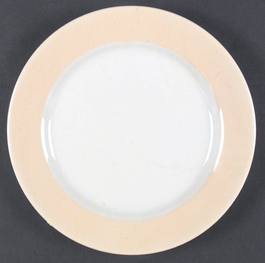 HLC1986 Dinner Plate by Homer Laughlin -1