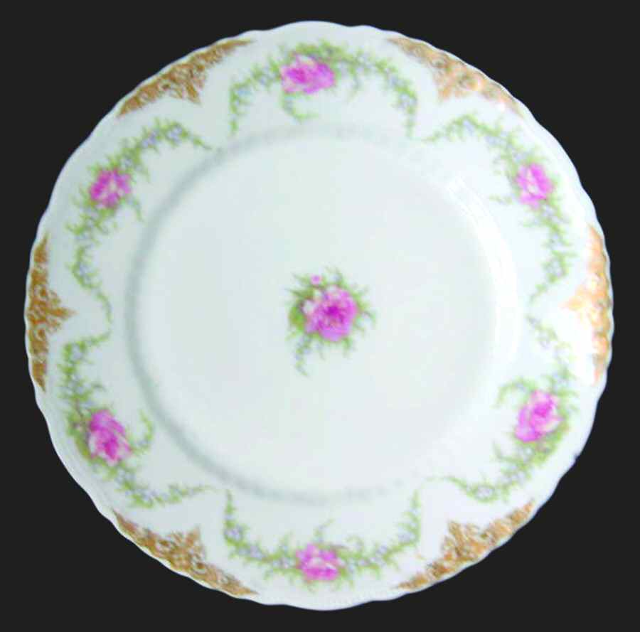 Schleiger 602a Dinner Plate by Haviland-1