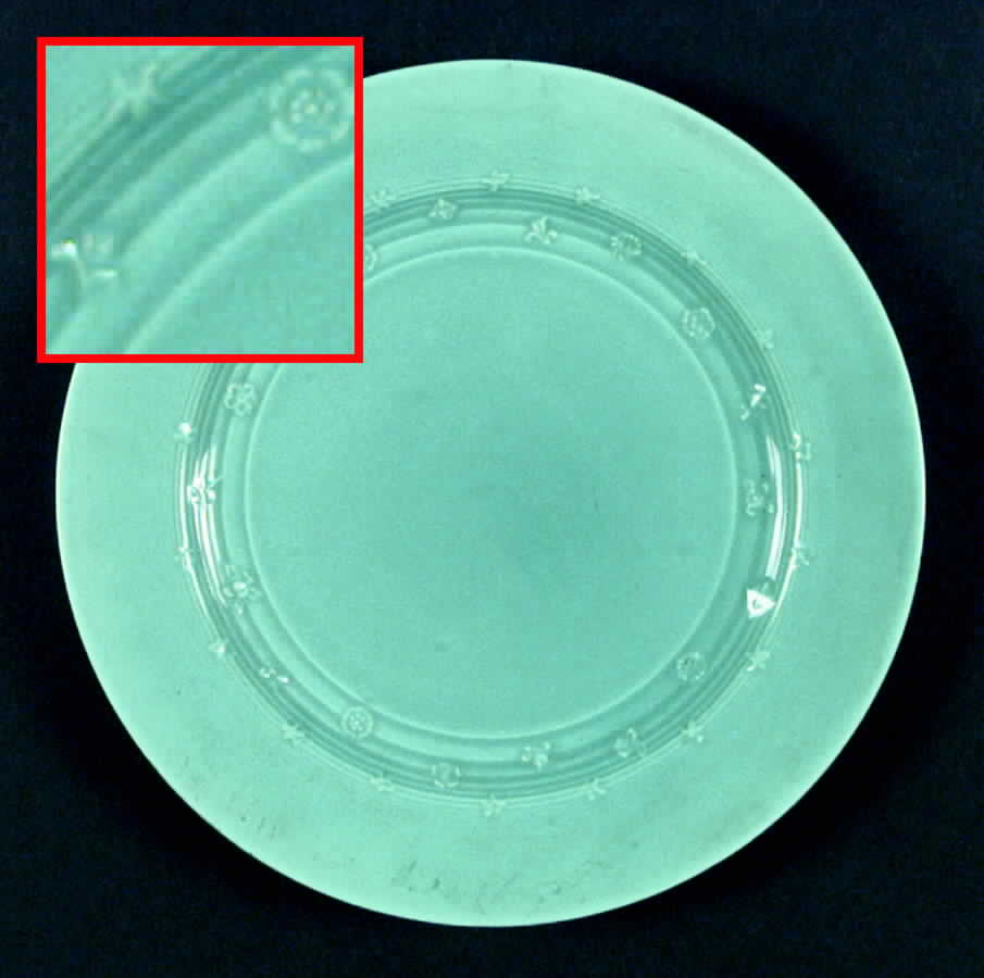 HLC2012 Dinner Plate by Homer Laughlin -1