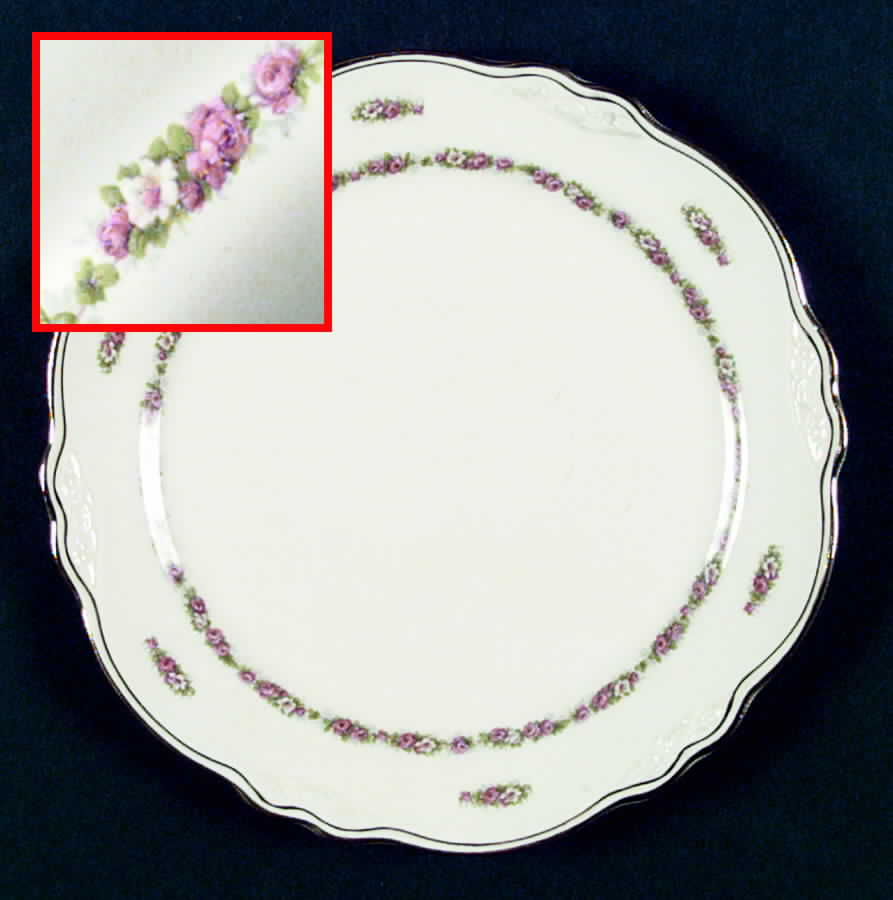 VR120 Dinner Plate by Homer Laughlin -1