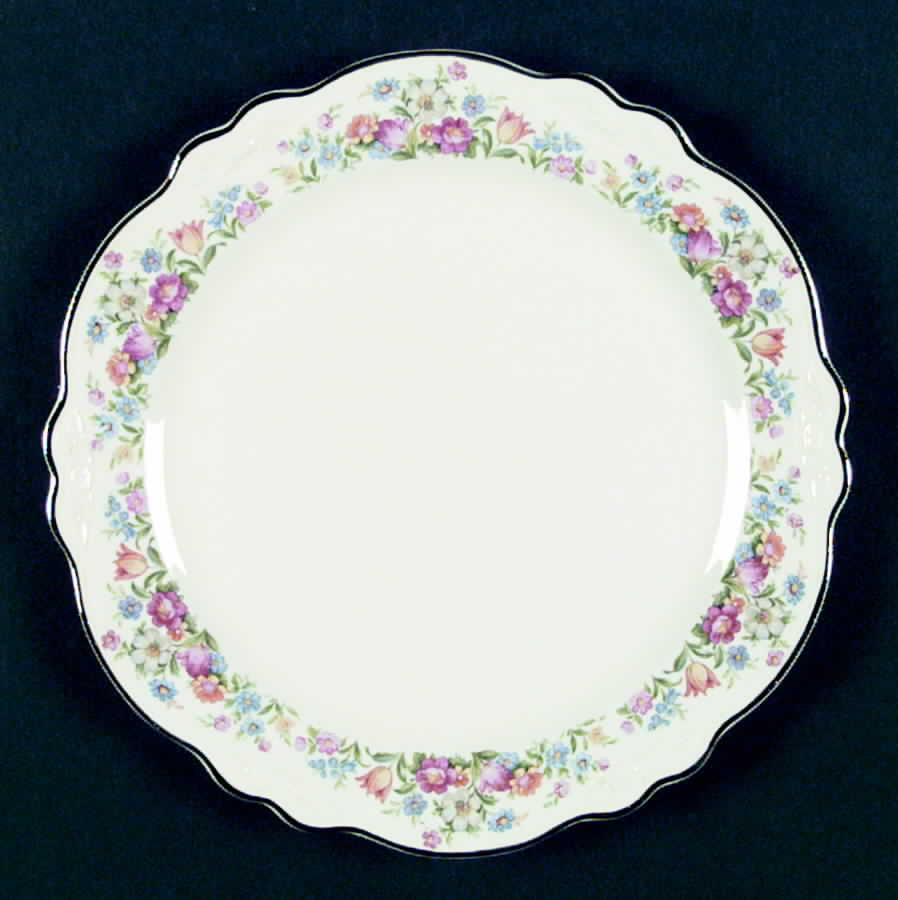 VR107 Dinner Plate by Homer Laughlin -1