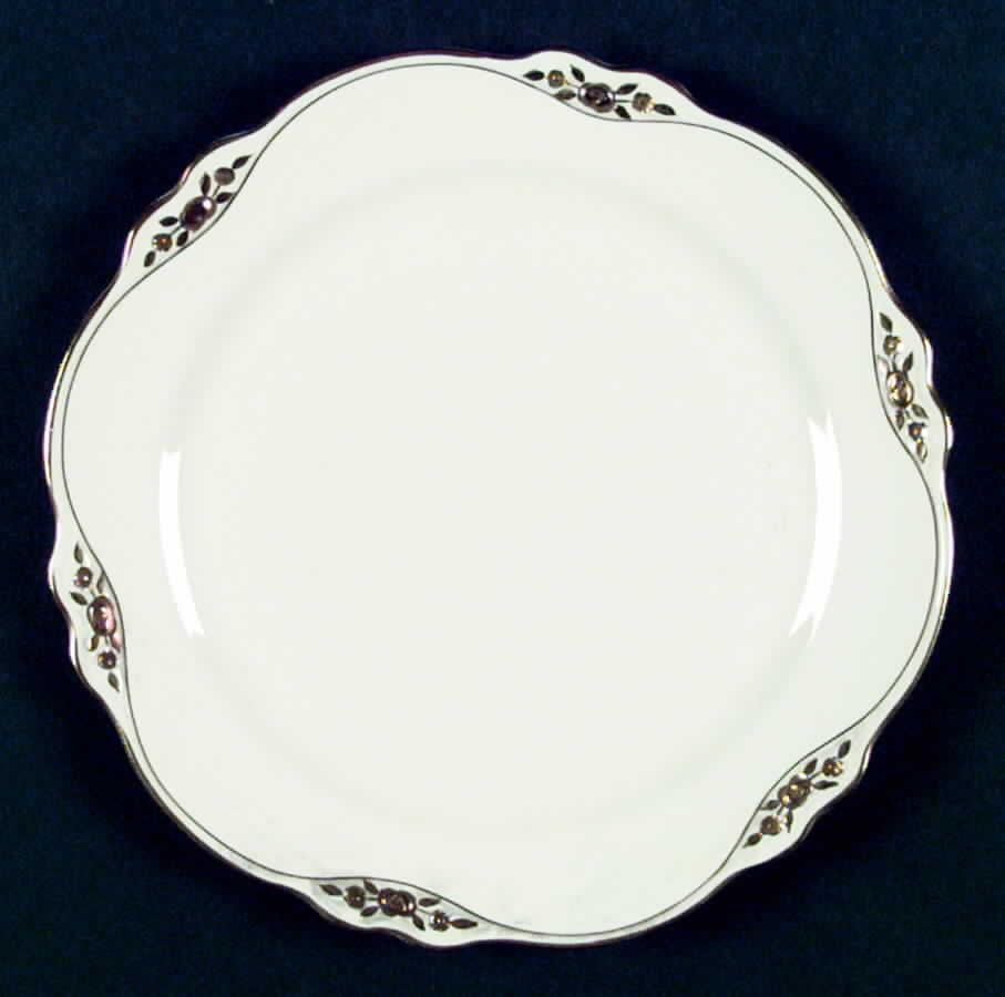 VR114 Dinner Plate by Homer Laughlin -1