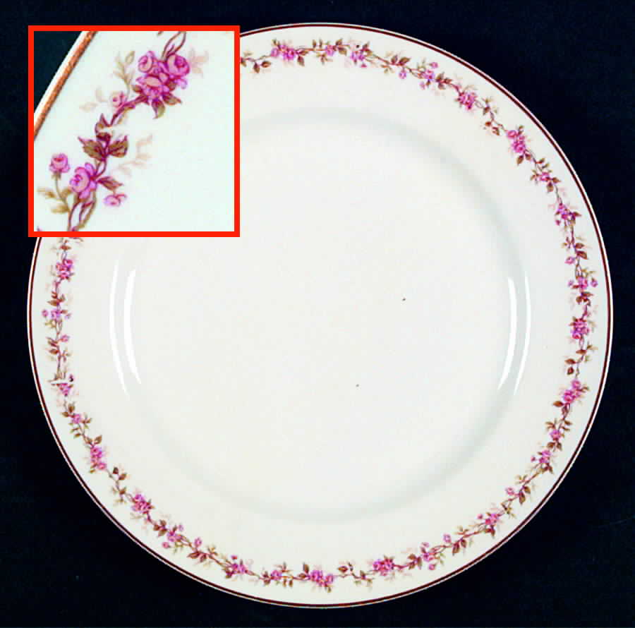 Schleiger 737-2 Luncheon Plate by Haviland-1