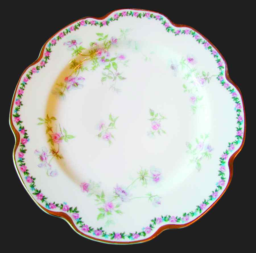 Schleiger 660j Salad Plate by Haviland-1