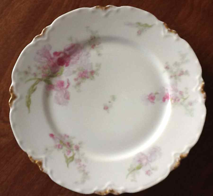 Schleiger 662A Dinner Plate by Haviland-1