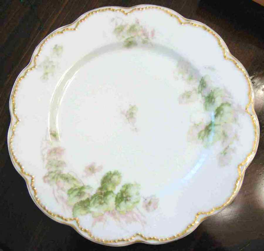 Schleiger 665 Dinner Plate by Haviland-1