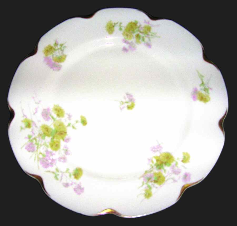 Schleiger 676c Dinner Plate by Haviland-1