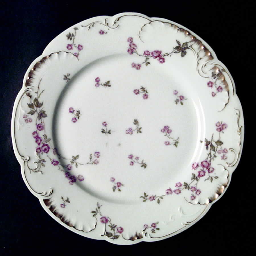 Schleiger 679f Salad Plate by Haviland-1