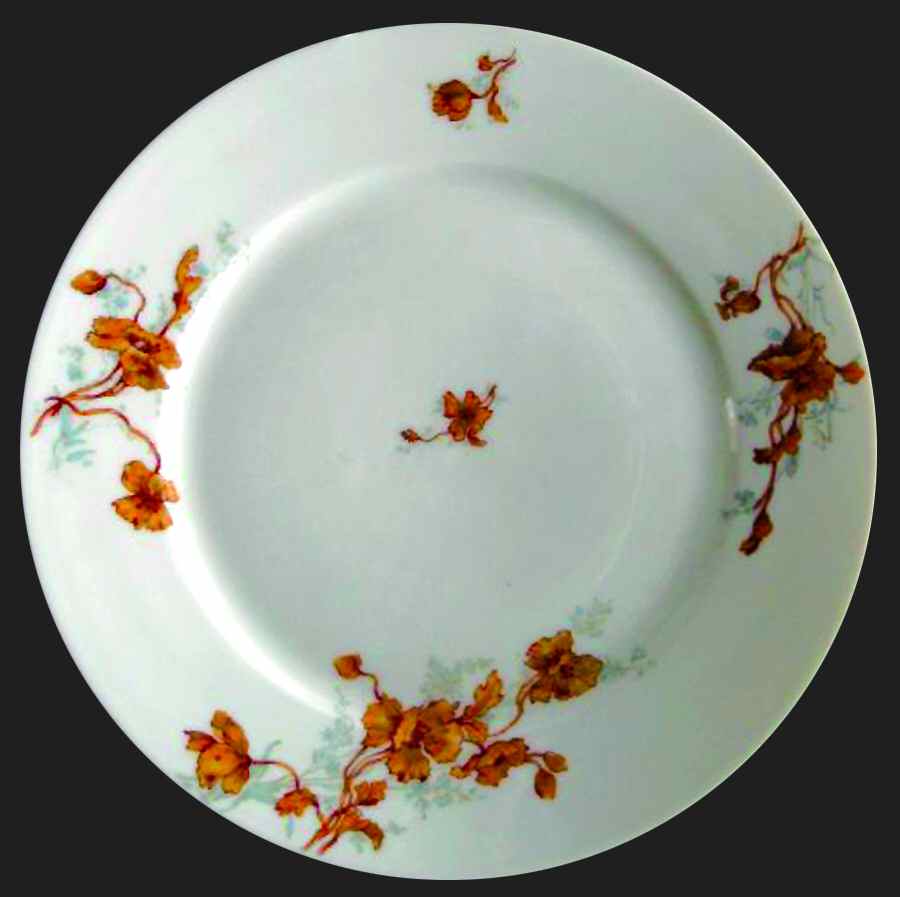 Schleiger 685e Salad Plate by Haviland-1