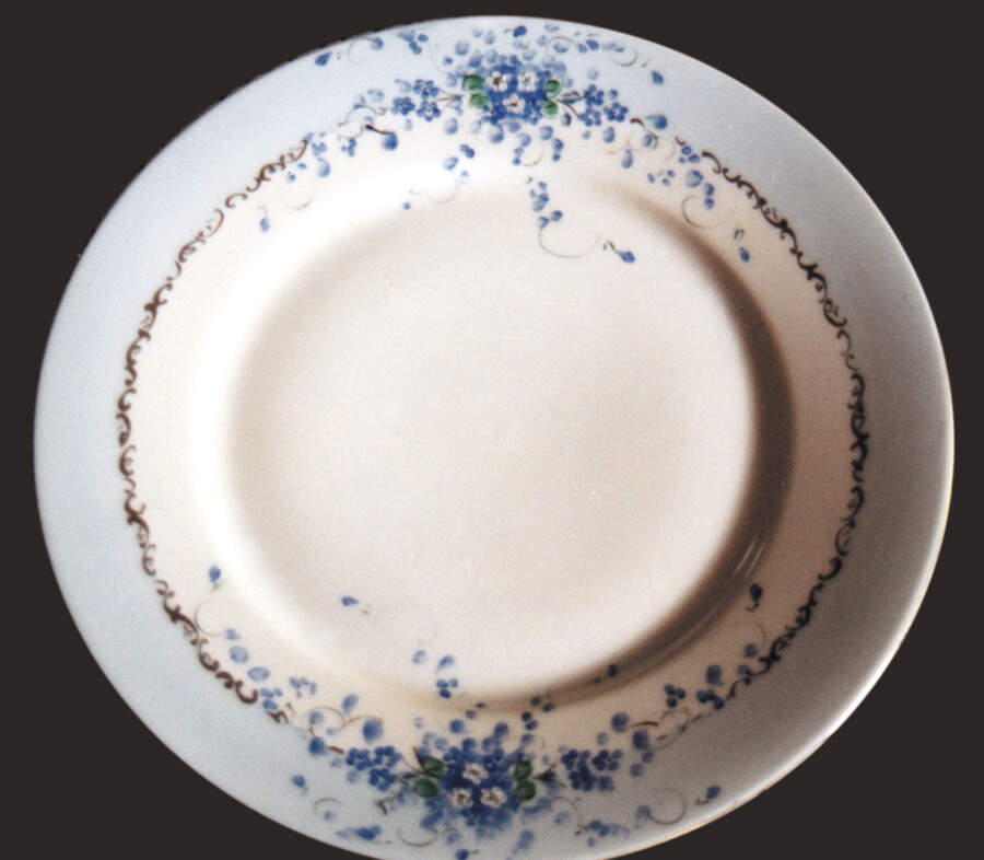HUT869 Dinner Plate by Hutschenreuther-1