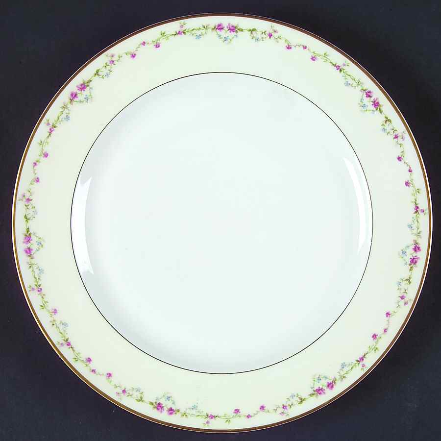 Schleiger 735 Dinner Plate by Haviland-1