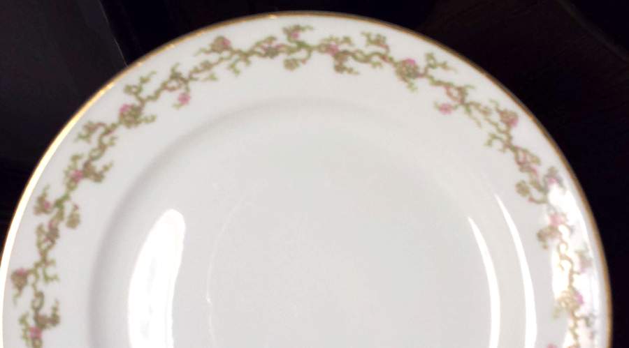 Schleiger 748 Dinner Plate by Haviland-1