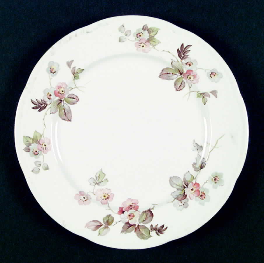4685 Dinner Plate by Homer Laughlin -1