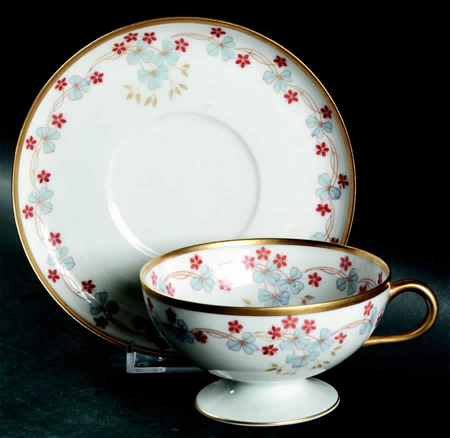 Schleiger 790 Footed Cup & Saucer Set by Haviland-1