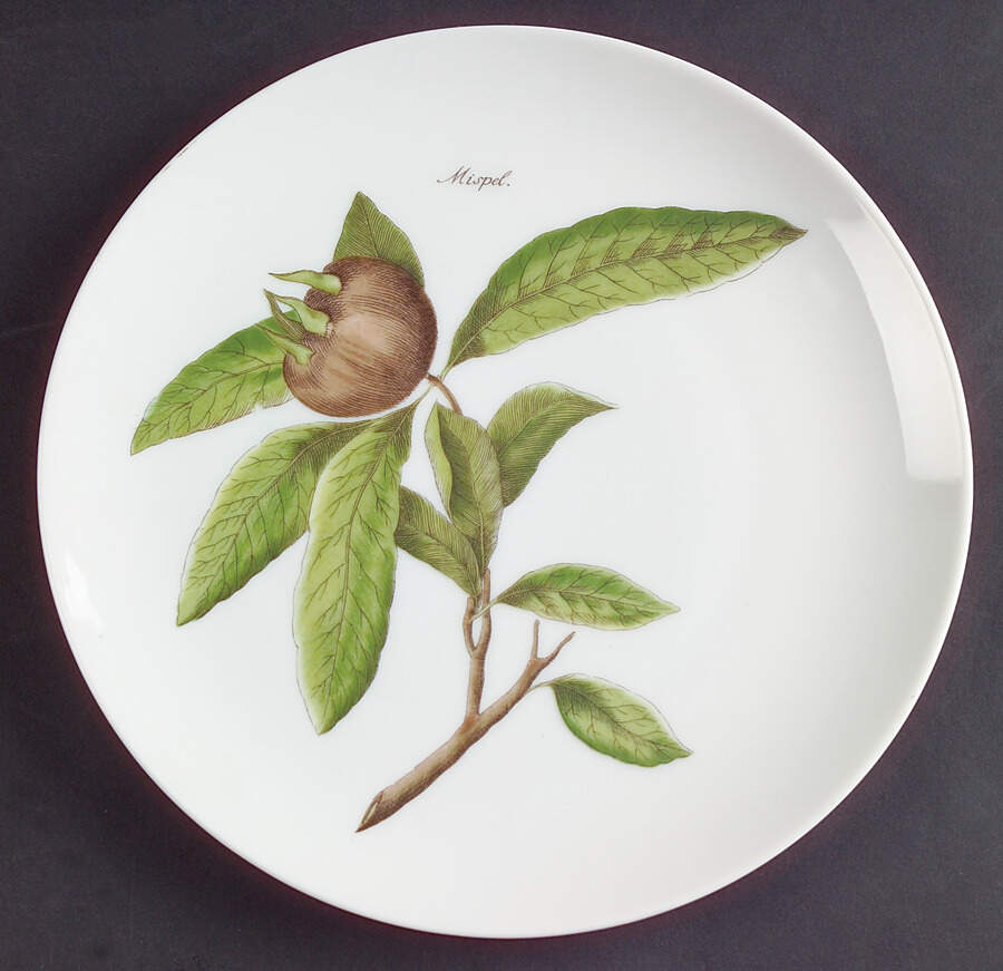 HUT893 Salad Plate by Hutschenreuther-1
