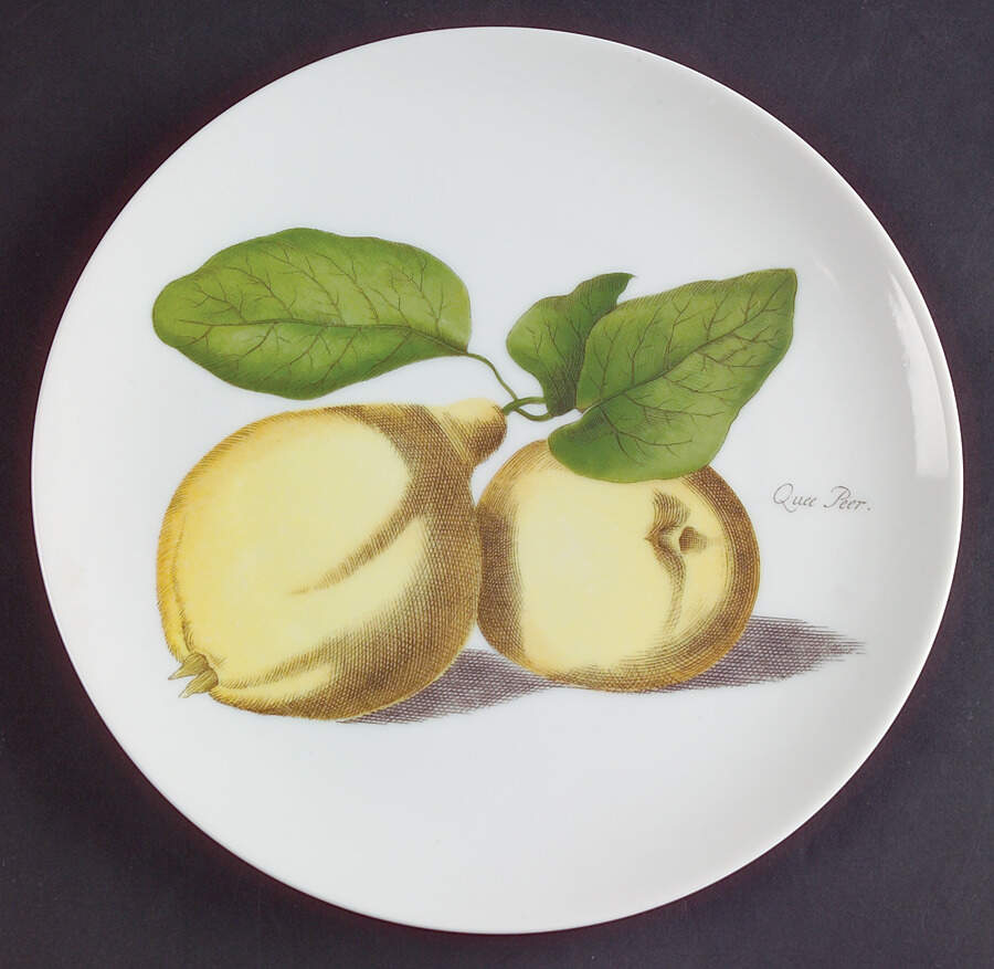 HUT893 Salad Plate by Hutschenreuther-1
