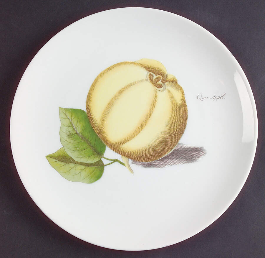 HUT893 Salad Plate by Hutschenreuther-1