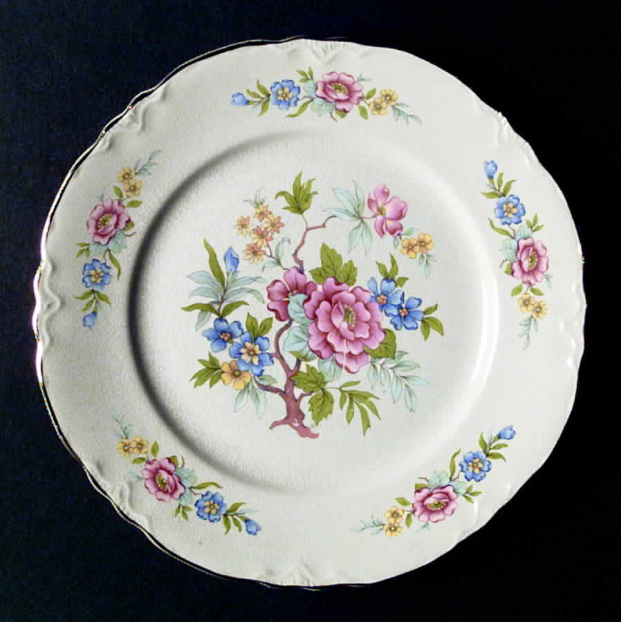 HLC2025 Dinner Plate by Homer Laughlin -1
