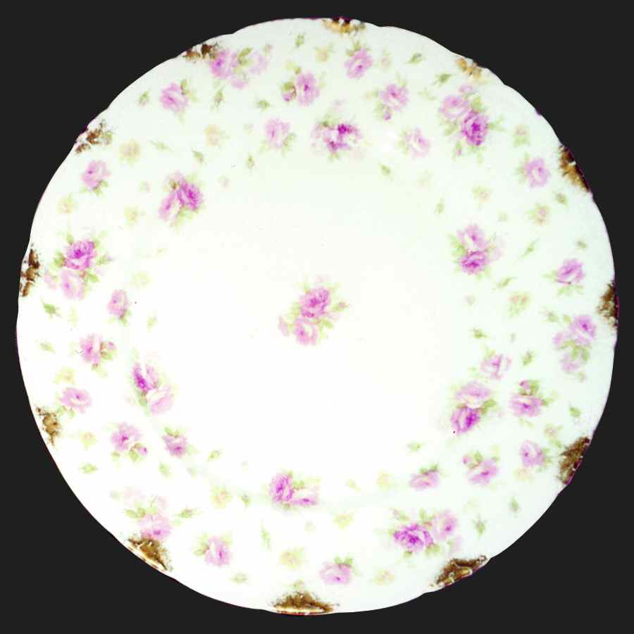 H1401 Dinner Plate by Haviland-1
