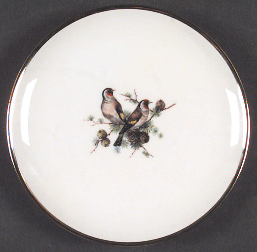 HUT896 Bread & Butter Plate by Hutschenreuther-1