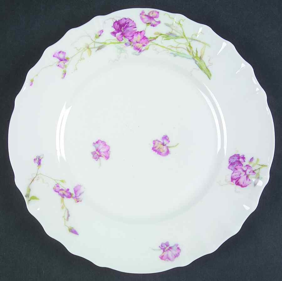 Schleiger 835b Salad Plate by Haviland-1