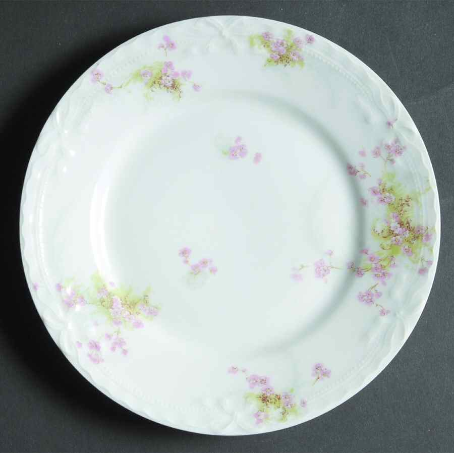 Schleiger 836c Salad Plate by Haviland-1