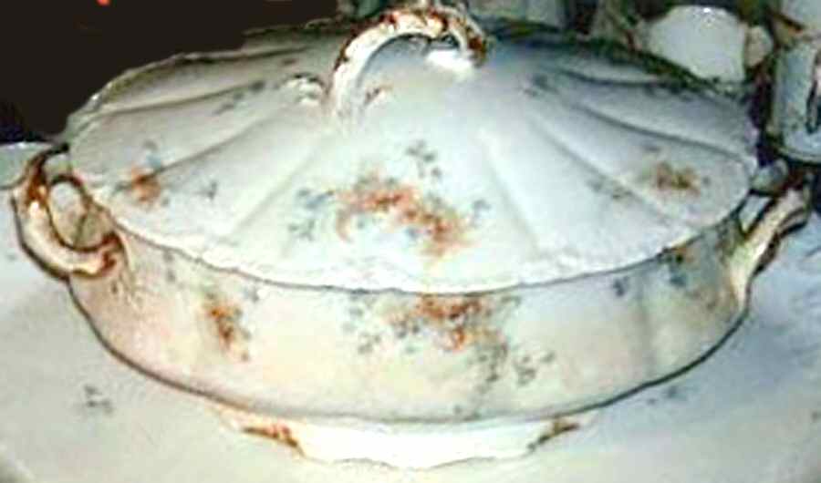 Schleiger 836g Oval Covered Vegetable by Haviland-1