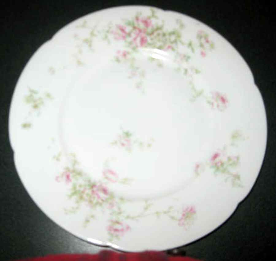 Schleiger 840d Salad Plate by Haviland-1