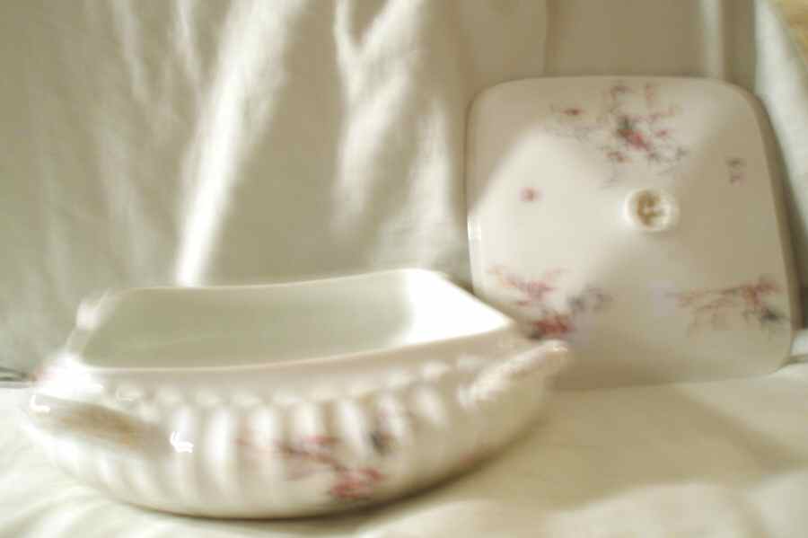H1406 Square Covered Vegetable by Haviland-1
