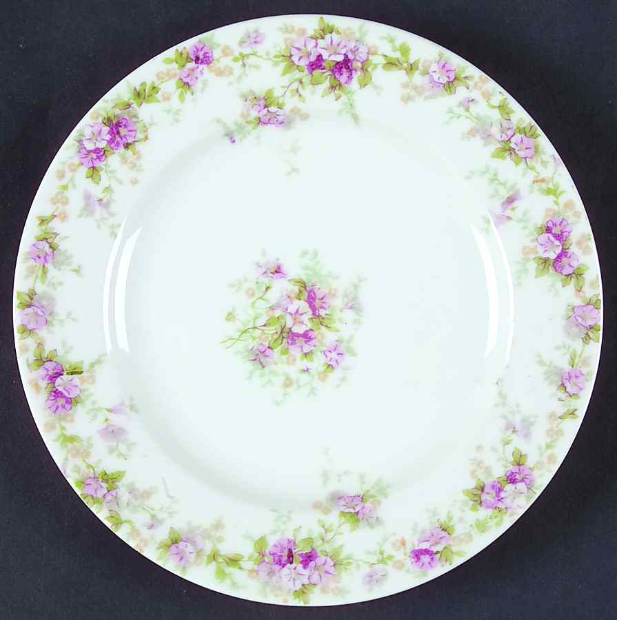 Schleiger 855 Bread & Butter Plate by Haviland-1