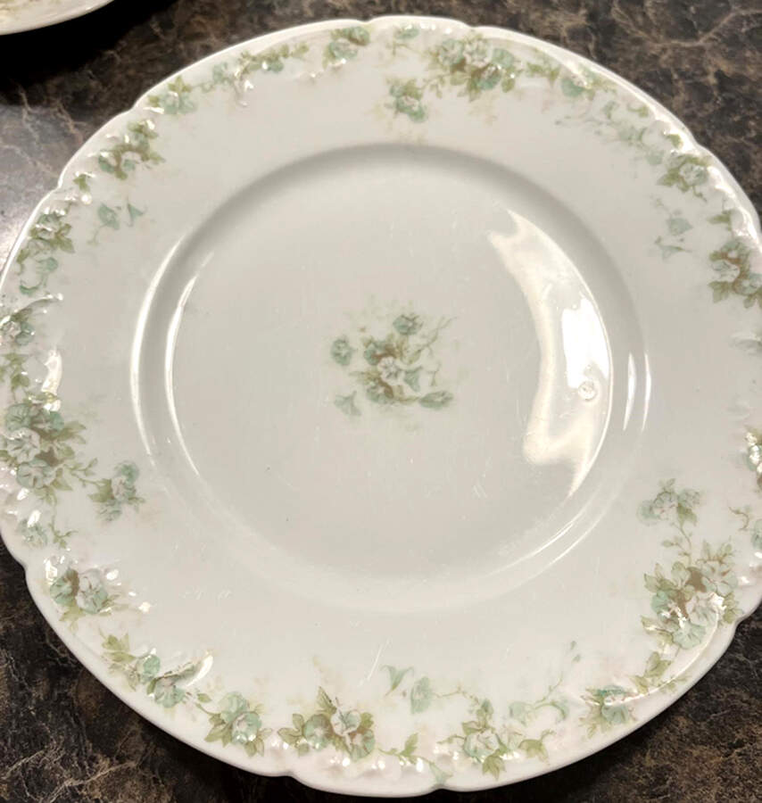 Schleiger 855d Salad Plate by Haviland-1