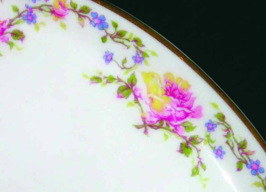 Schleiger 927 Dinner Plate by Haviland-1