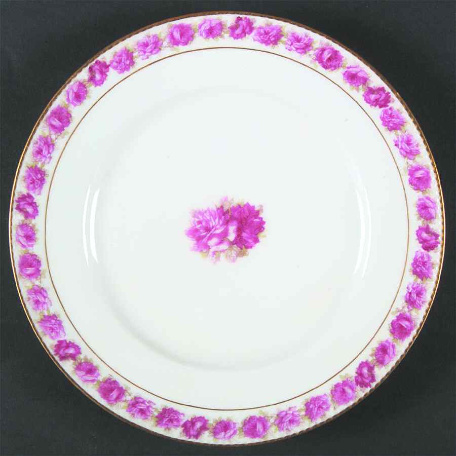 Schleiger 953 Luncheon Plate by Haviland-1